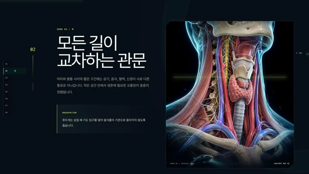 글에 첨부됐던 화면 캡처
