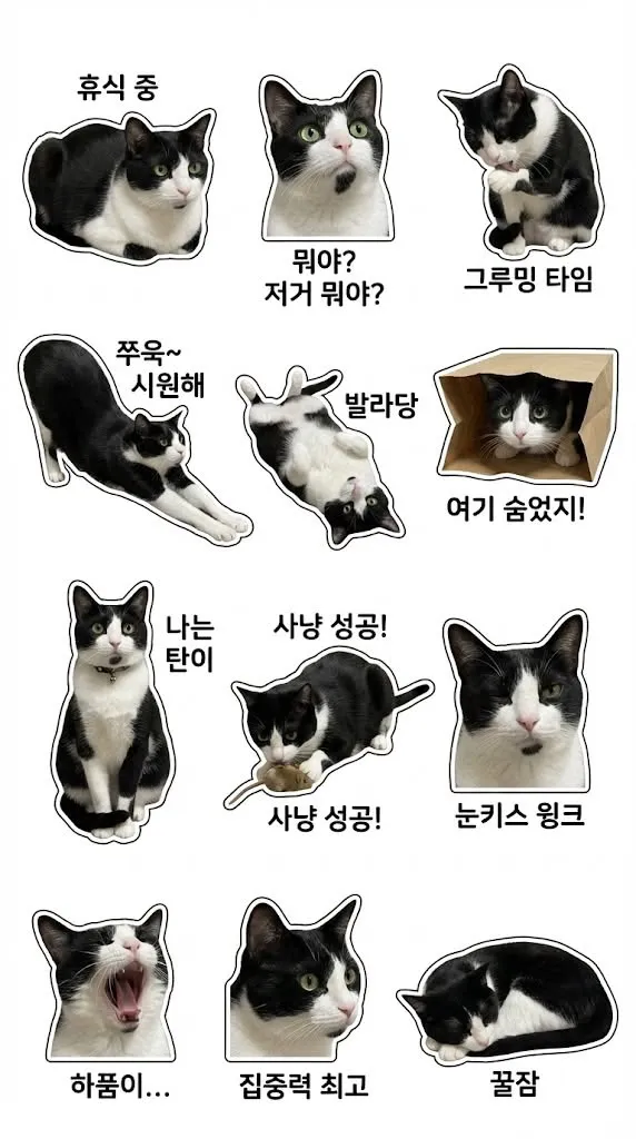 고양이 스티커 세트