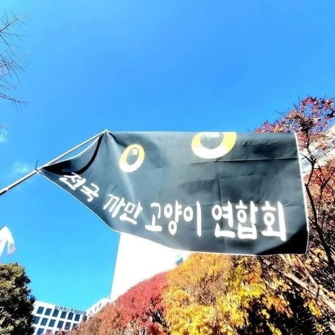 글에 첨부됐던 화면 캡처