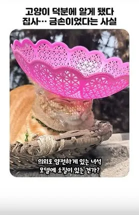 글에 첨부됐던 화면 캡처