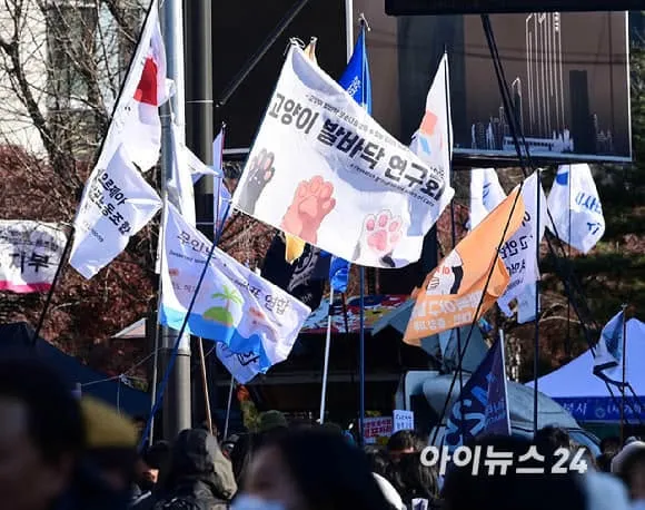 글에 첨부됐던 화면 캡처
