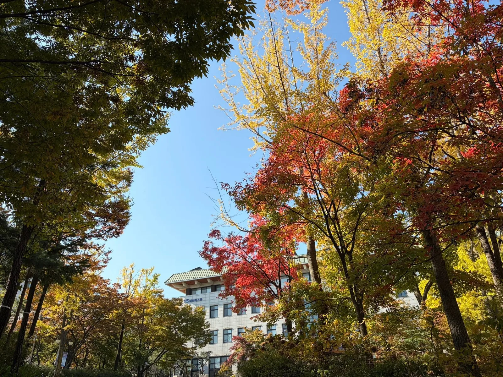 AI정책 특강, 그리고 잘 가꿔진 교정 첨부 사진 2