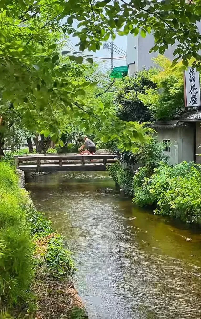 다카세 강, 가을에는 어떻게 변해 있을까 첨부 사진 3