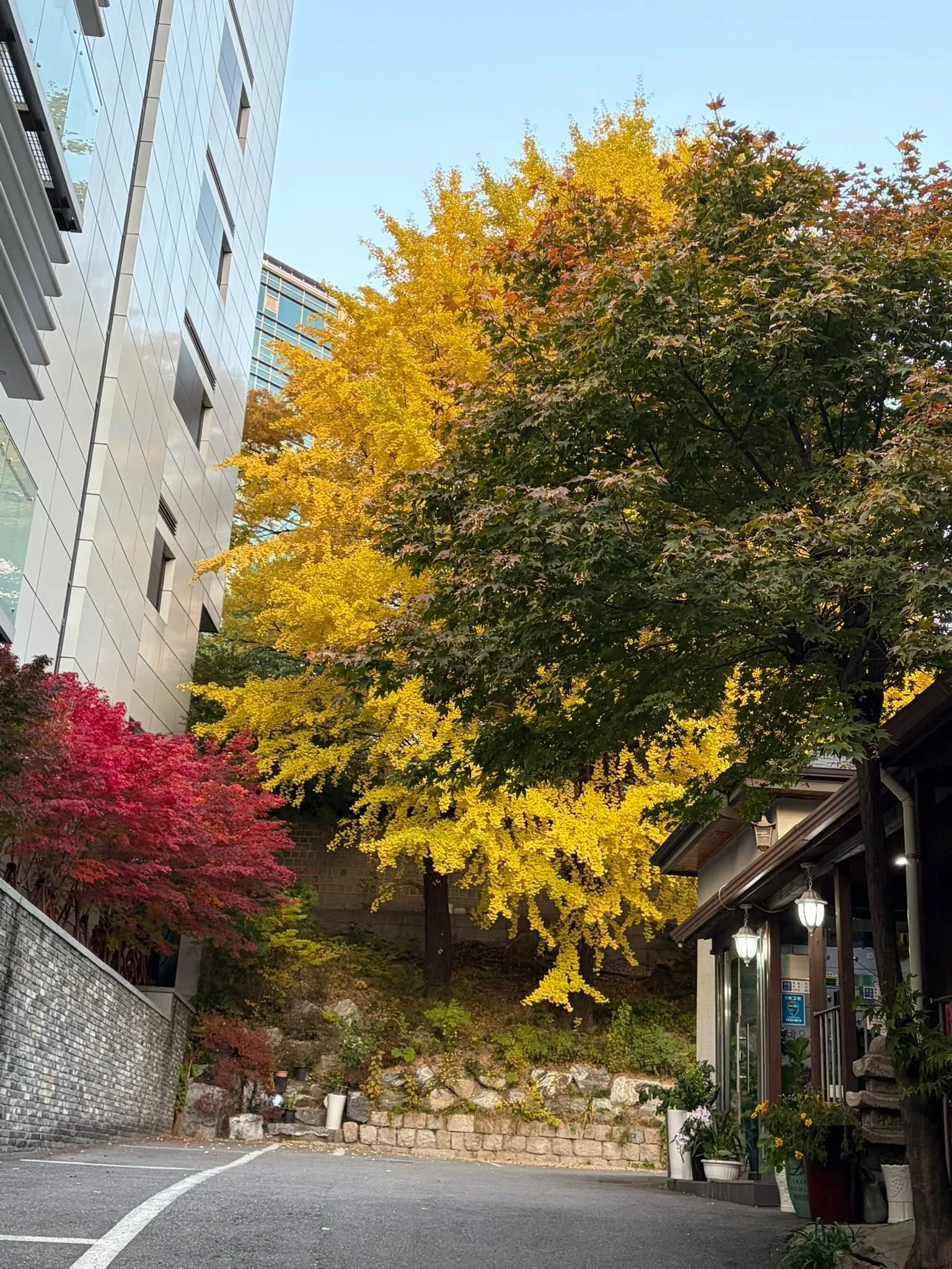 대학 동기들과 간만에 회포, 주로 건강 얘기 첨부 사진 2