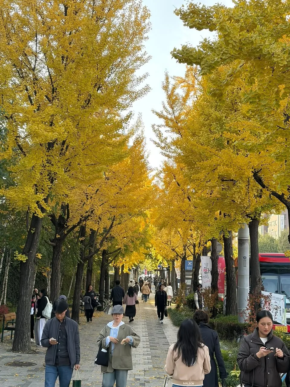대학 동기들과 간만에 회포, 주로 건강 얘기 첨부 사진 3