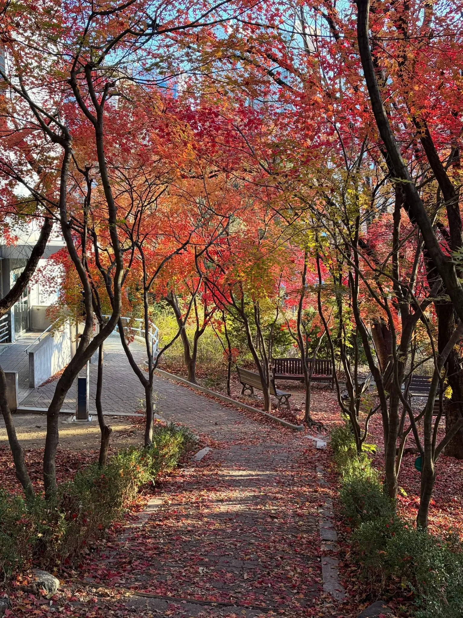 서강대 교정, 운동장 옆 작은길 첨부 사진 2
