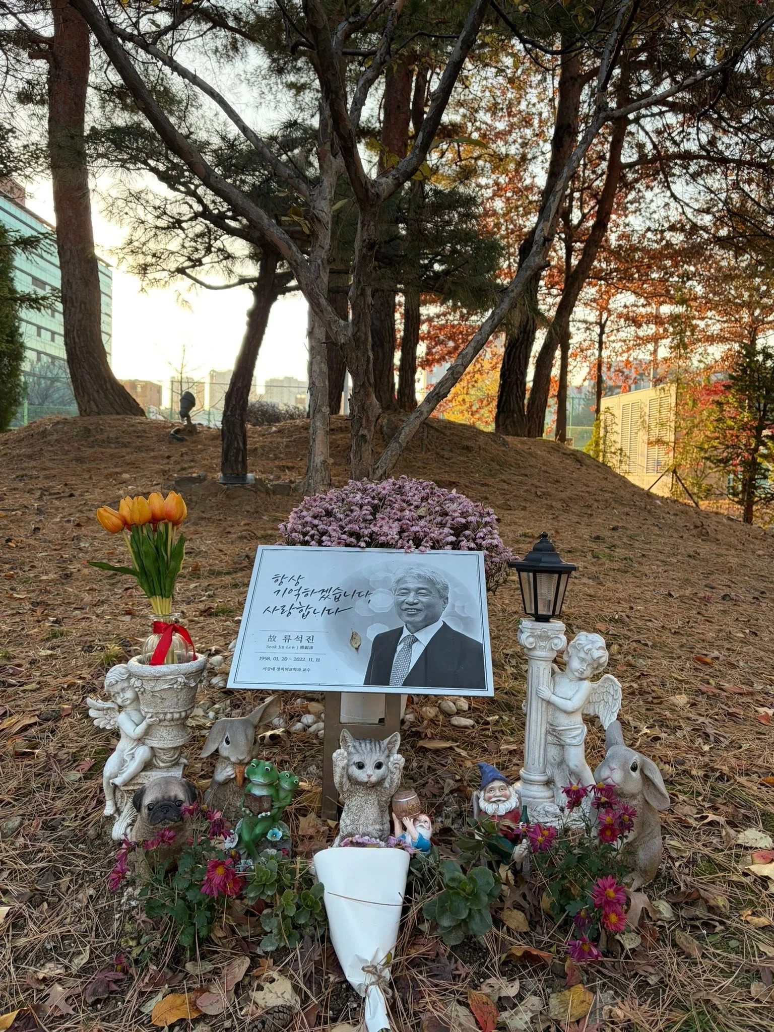 서강대 교정, 운동장 옆 작은길 첨부 사진 4