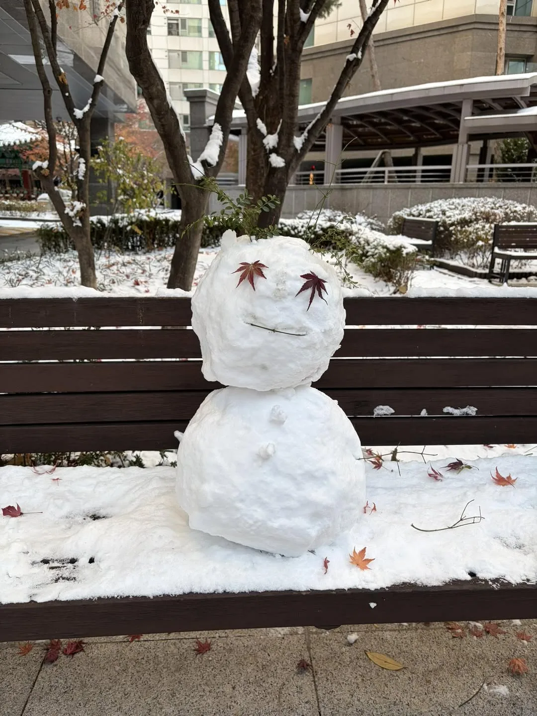 집앞에 이쁘게 단장한 눈사람 게시물에 첨부된 사진