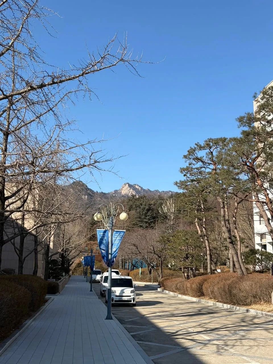 북한산 자락 교직원 식당에서의 신년 점심 게시물에 첨부된 사진