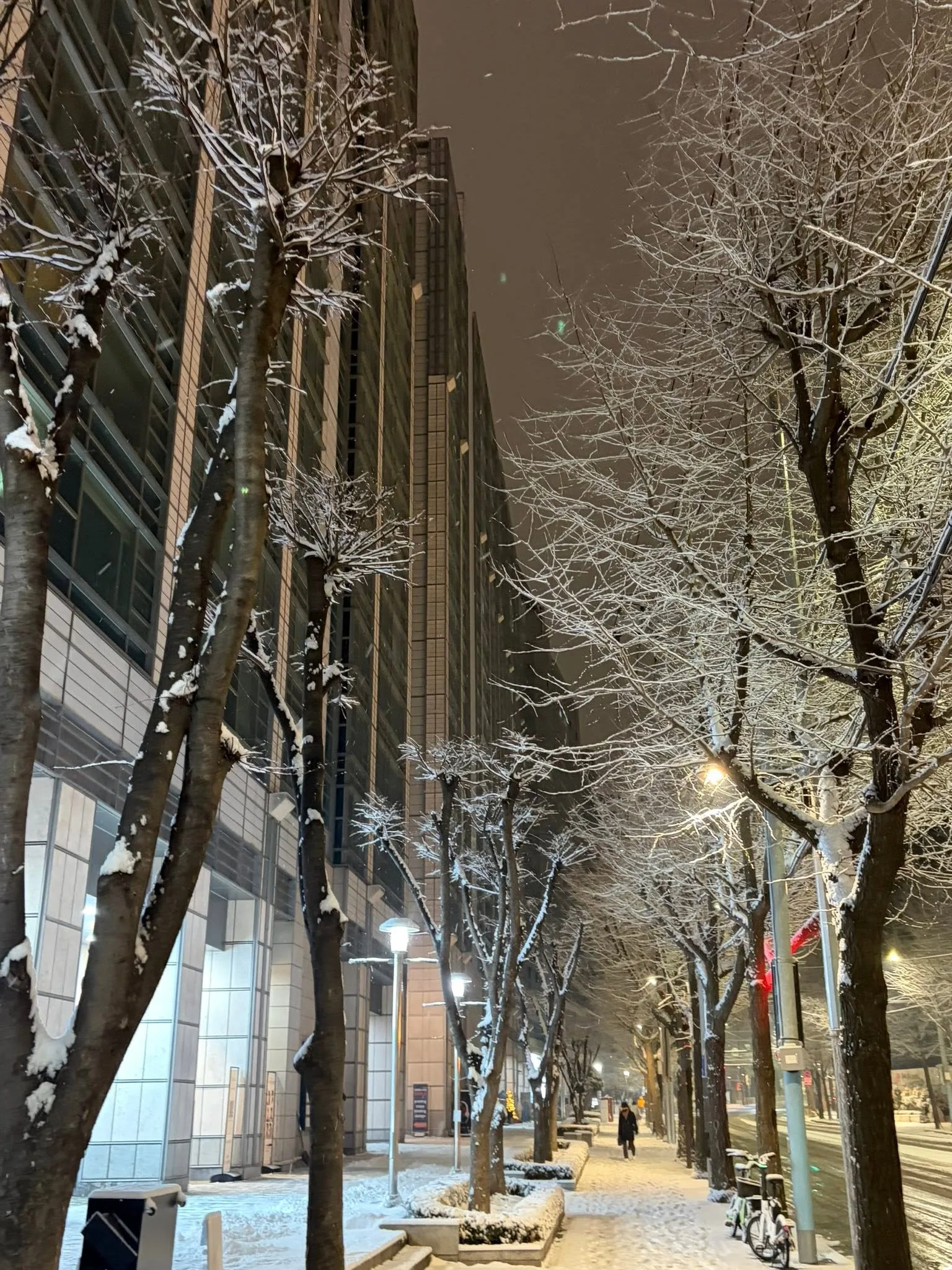 이럴 때 생각나는 샹송, Tombe La Neige 첨부 사진 4