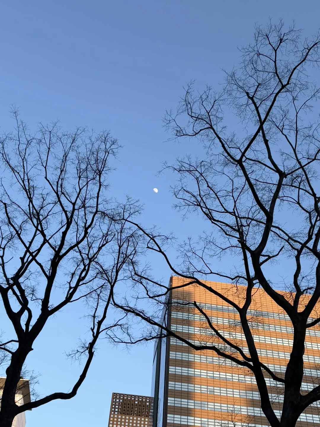 멈춰 서는 순간 더 선명해지는 속도 게시물에 첨부된 사진