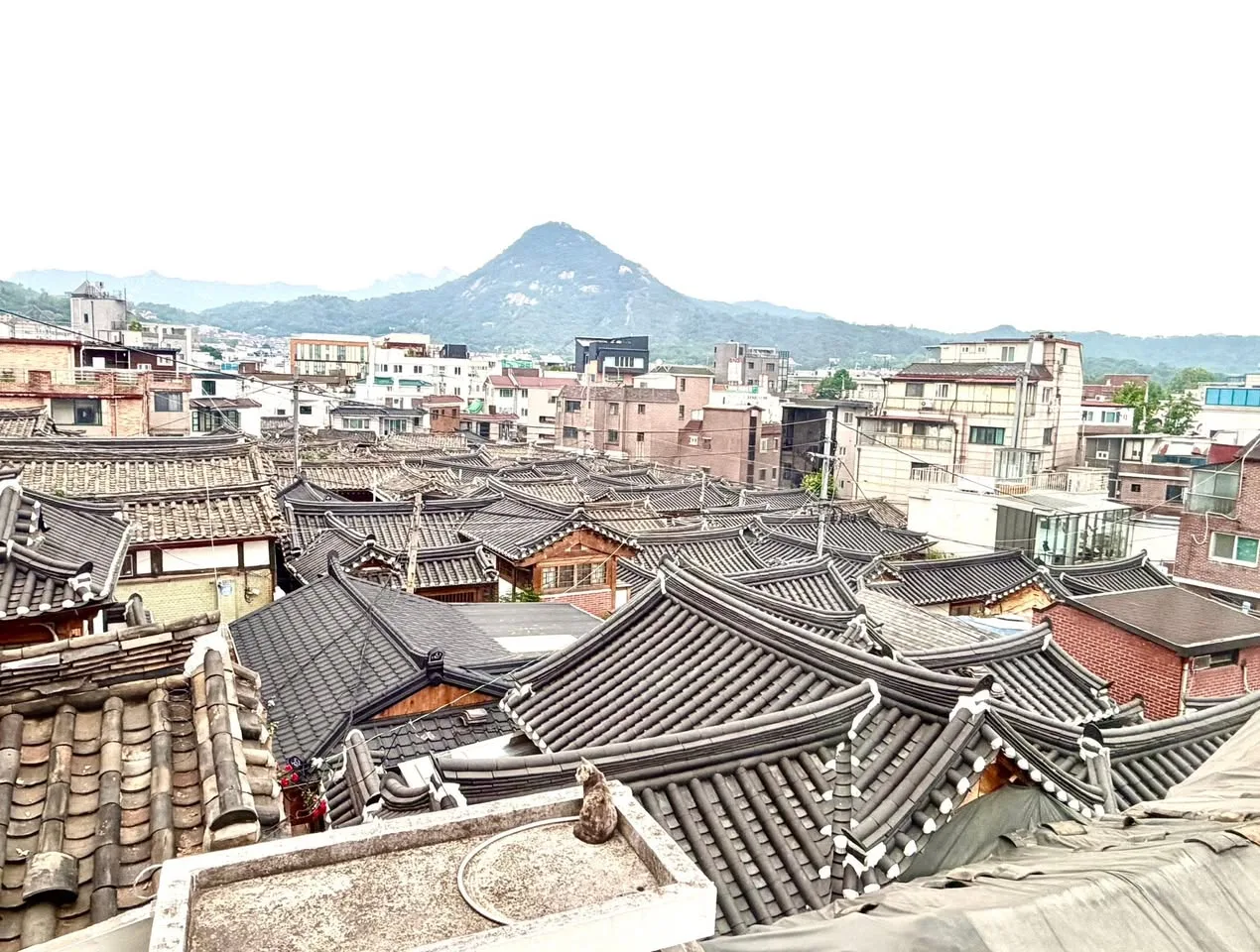 이마리 창가에서 본 서촌 한옥 풍경 게시물에 첨부된 사진