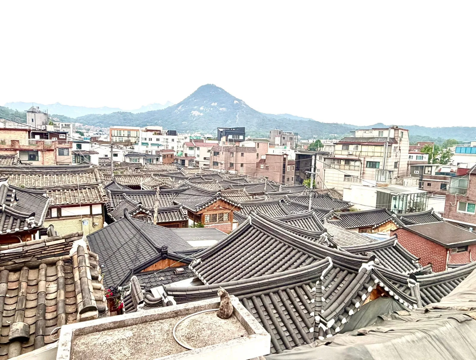 이마리 창가에서 본 서촌 한옥 풍경 첨부 사진 2